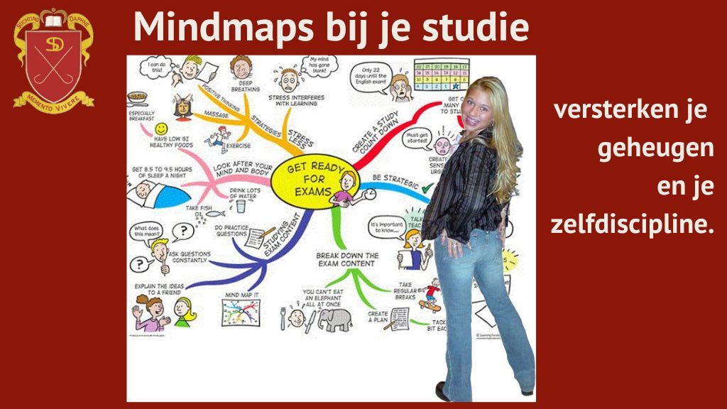 Mindmaps bij je studie versterken je geheugen en je zelfdiscipline.