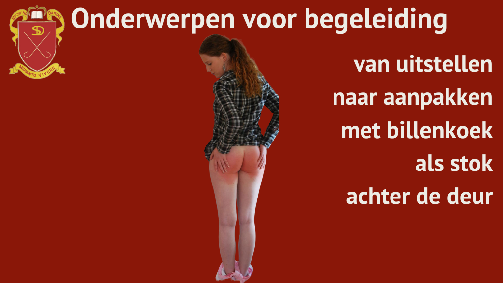 Onderwerpen voor begeleiding - van uitstellen naar aanpakken met billenkoek als stok achter de deur